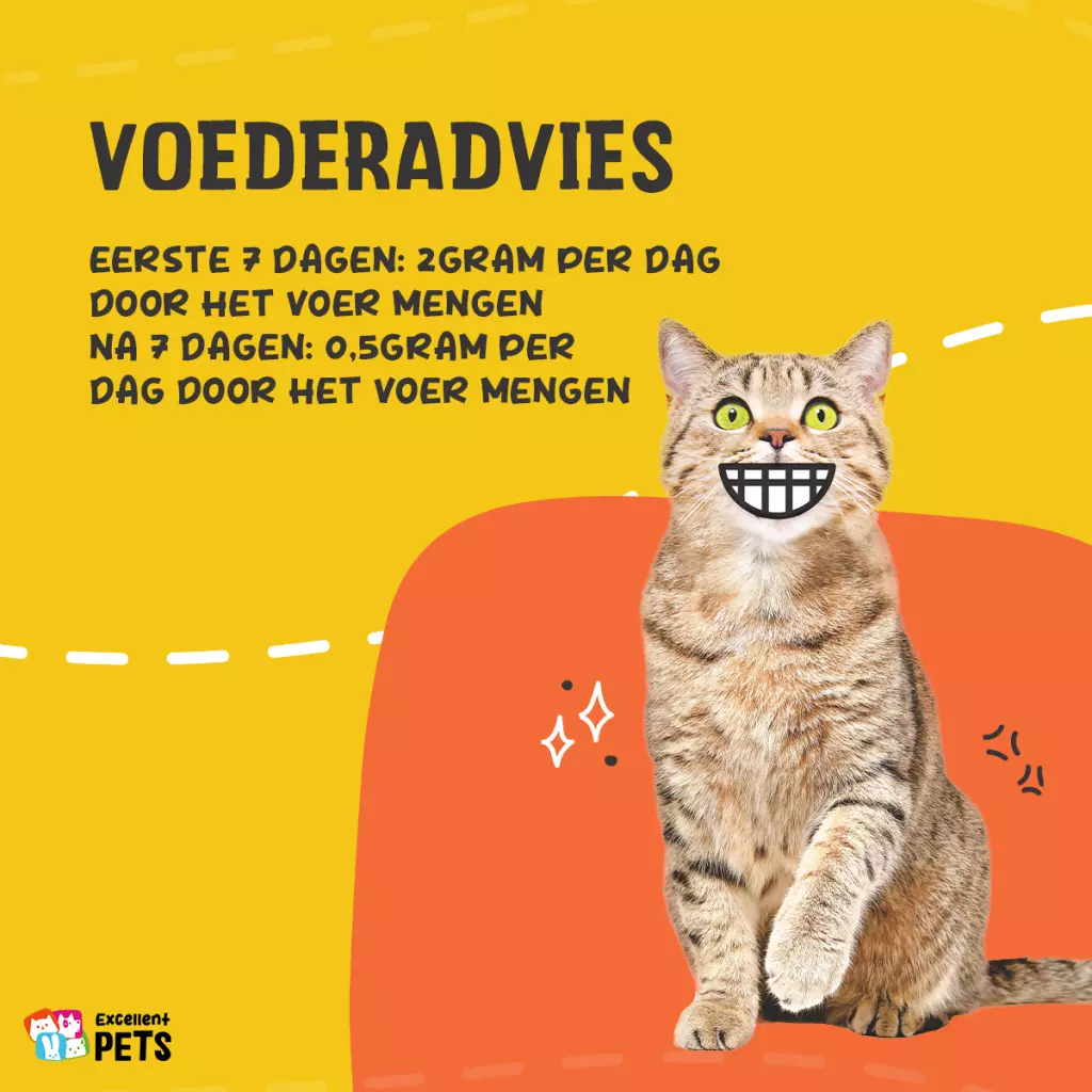 имуностимулатор л-лизин catl001 - l-lysine excellent pets 50 г - визия 2